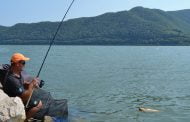 Pescuitul la plătică pe Dunăre