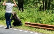 Bărbat atacat de urs la Vidraru!