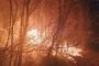 Incendiul de la masină a distrus hectare de pădure
