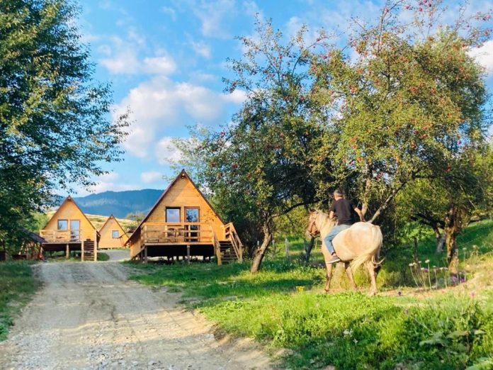 Cabanele lui Dinu, o destinatie perfecta pentru relaxare in Arges