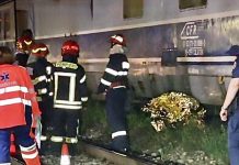 Cercetări efectuate de polițiștii de la transporturi din Argeș privind un accident feroviar